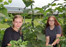 Zwei Schlülerinnen im Folientunnel bei den Gemüsepflanzen